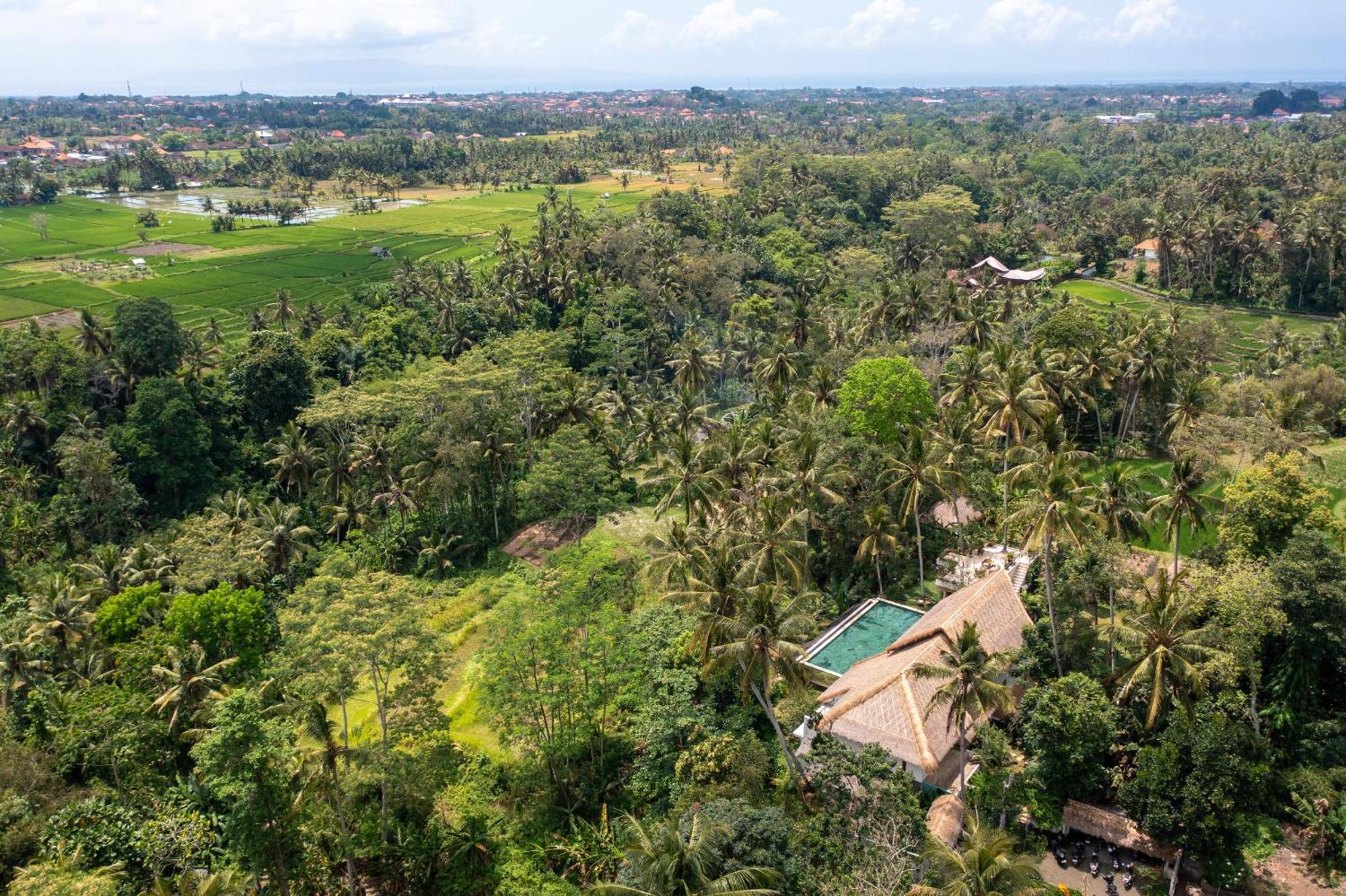 Villa Ressource Ubud Bedahulu Ngoại thất bức ảnh